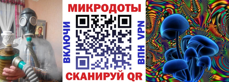 Купить где Ельня Псилоцибиновые грибы Cubensis